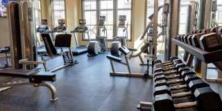 Avery at Turkey Creek Gallery 22