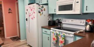 Bring your dog!  2 bedroom, 2 bath, Single family home in South Venice Gallery 17