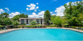 The Harrison Gallery 19