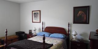 3644 Iron Lace Drive Gallery 11