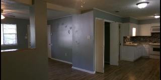 15 Westward Road Gallery 8