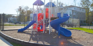 Carillon Woods Gallery 29