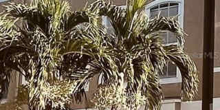 2915 POINTEVIEW Gallery 1