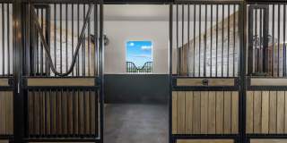 16175 Deer Path Lane Gallery 18