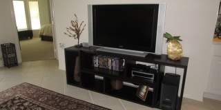 10537 Washingtonia Palm Way Gallery 5