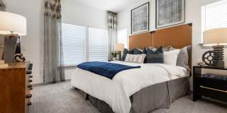 Collection at Gruene Gallery 22