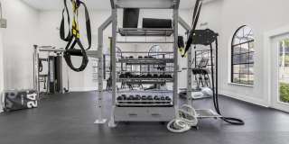 Alvista Hollywood Gallery 23