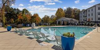 Arlow at Blue Ridge Gallery 8