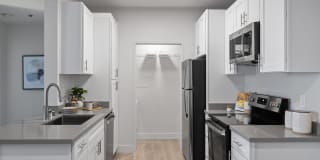 Terra at Portola Park Gallery 7