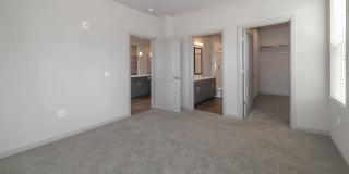 Savanna Nine Mile Gallery 26