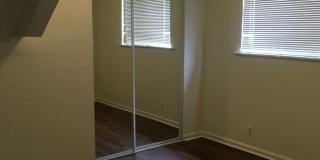 shas2228 Gallery 11
