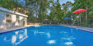 The Oliver in Alexandria Gallery 10