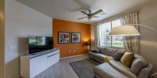 Liv Northgate Gallery 2