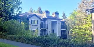 Gallery Condominiums - Downtown Kirkland Gallery 1