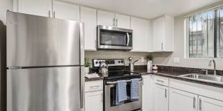 Vetra Chandler Gallery 22