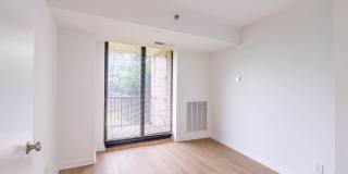 Crystal Place Gallery 12