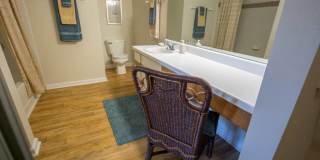 Steeplechase at Shiloh Crossing Gallery 15