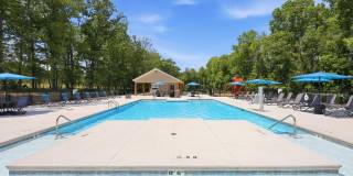 Pine Reserve Apartments Gallery 6