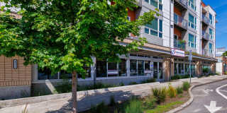 Harlow Heights Gallery 2