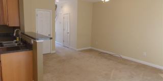 5523 Cottonrose Lane Gallery 5