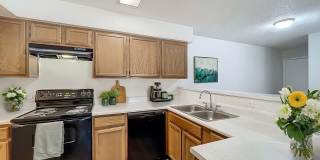 Millenium Cove Gallery 28