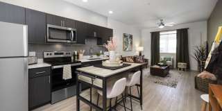 The Lotus Gallery 17