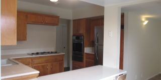 North East Corner Lot Home Gallery 7