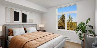 CityLine Gallery 9