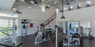 Red Knot at Edinburgh Gallery 16