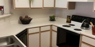 Windsor Place Gallery 6