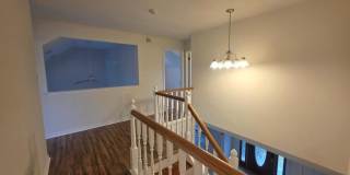 138 PERSIMMON STREET Gallery 23
