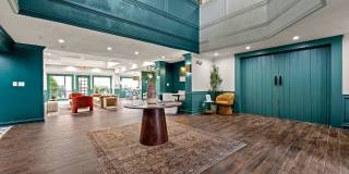 505 Collection Gallery 59