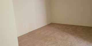 475 E Cypress Ave. Gallery 53