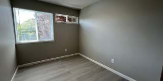 3 bedroom 1.5 bath - for rent $3300 Gallery 18