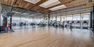 Sanctuary Gallery 24