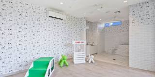 Starlight Gallery 22