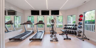 The Forest Gallery 11