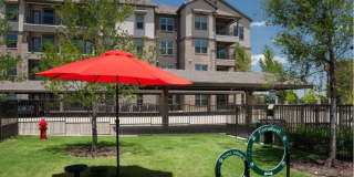 Firewheel Town Village 55+ Community Gallery 17