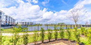 The Reserve at Clyde Morris Landings Gallery 18