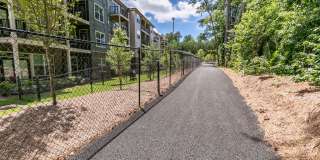 Sugarloaf Walk Gallery 19
