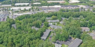 Northcliffe Forest Apartments Gallery 14