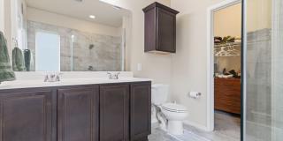 8318 Prickly Oak Gallery 16