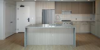 The Merian Gallery 31