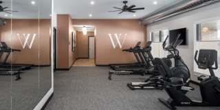 Wilford Gallery 42