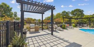 Woods at Perry Lane Gallery 13