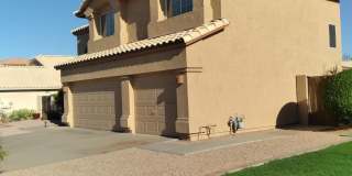 1167 W Lisa Lane 1167 W Lisa Lane Gallery 1