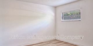 1102 Elmwood Street Gallery 10