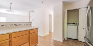 1115 E Azalea Lane Gallery 14