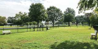 The Apartments at Canterbury Gallery 32