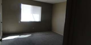 2028 Amy Sue Drive Gallery 2